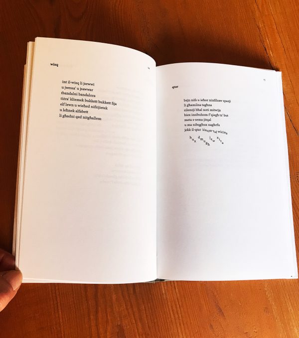 Varjazzjonijiet tas-Skiet by Nadia Mifsud